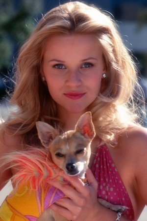 Elle Woods and Bruiser